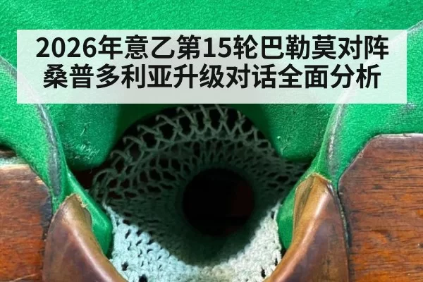 2026年意乙第15轮巴勒莫对阵桑普多利亚升级对话全面分析